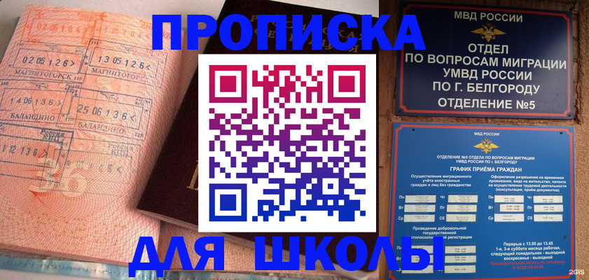 прописка иностранных граждан в Донском